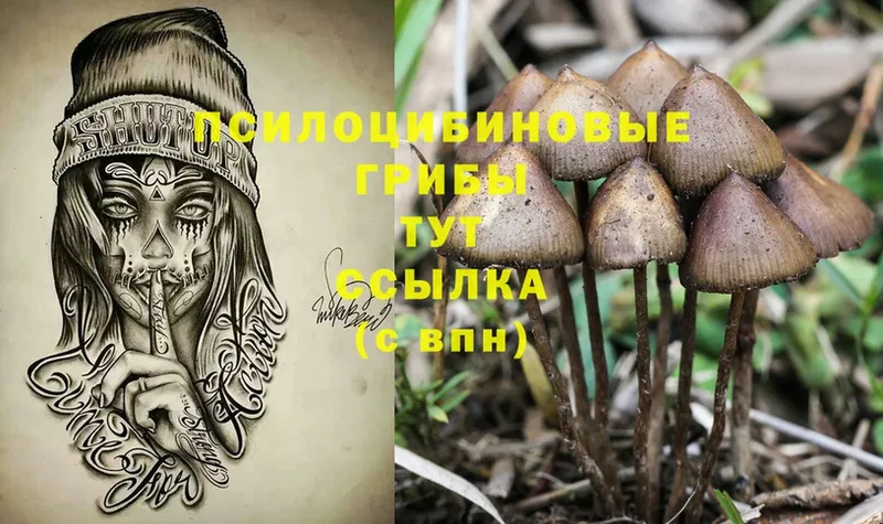 Галлюциногенные грибы Magic Shrooms  Спасск-Рязанский 